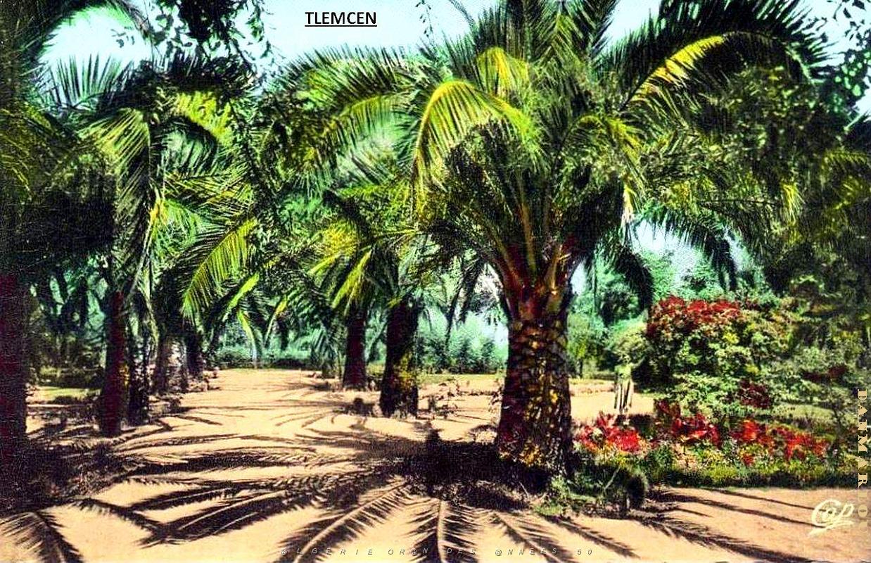 Tlemcen 210 .jpg